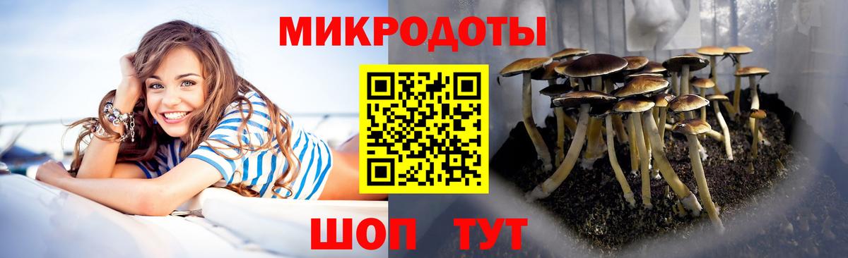 Саяногорск  Псилоцибиновые грибы Psilocybine cubensis  Вход с VPN 